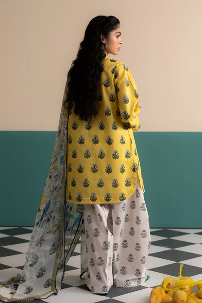 COCO Prints Drop III by Zara Shahjahan - ZOFI-4A