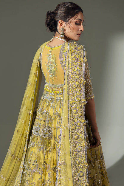 Elan Wedding Festive'24 - LIME BLOSSOM (EC24-03)