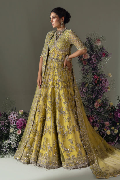 Elan Wedding Festive'24 - LIME BLOSSOM (EC24-03)