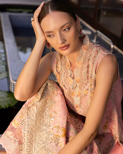Zinnia by Faiza saqlain - Peony
