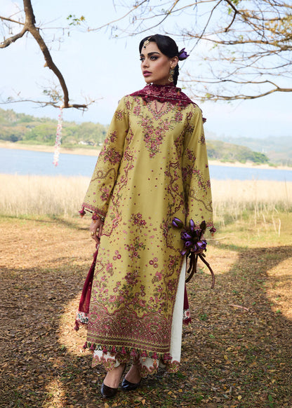 Hussain Rehar - Luxury Lawn'25 - Minted