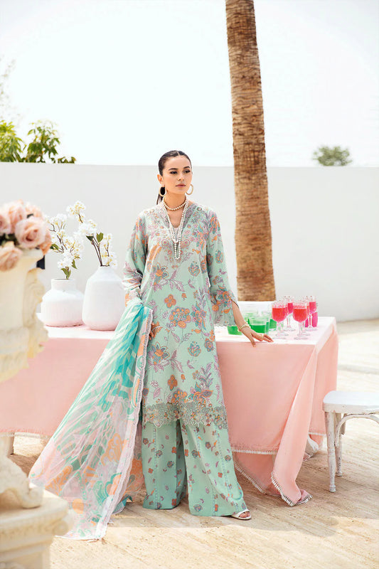 Ramsha - Rangrez Collection - N-607