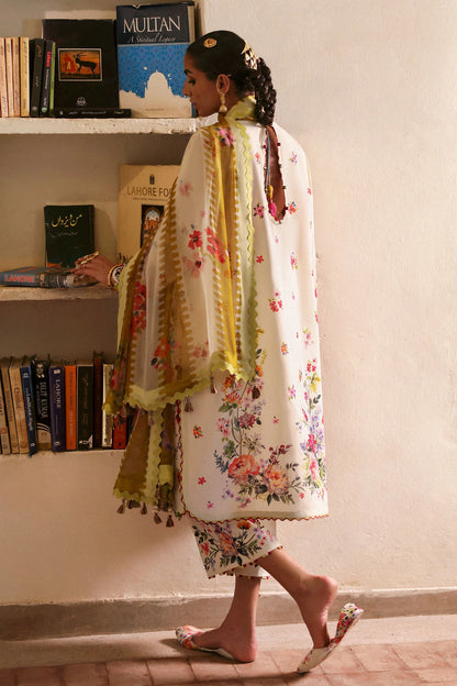 ZAHA FESTIVE '25 - CHANDNI (ZF-25-10)